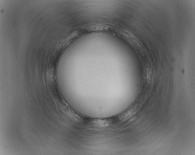 X0000073990326200609111539