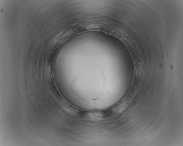 X0000073990327200609111539