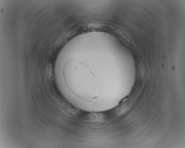 X0000073990328200609111539