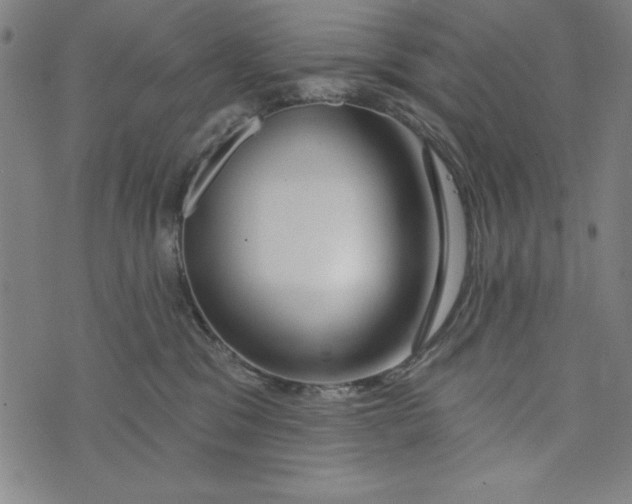 X0000073990329200609111539