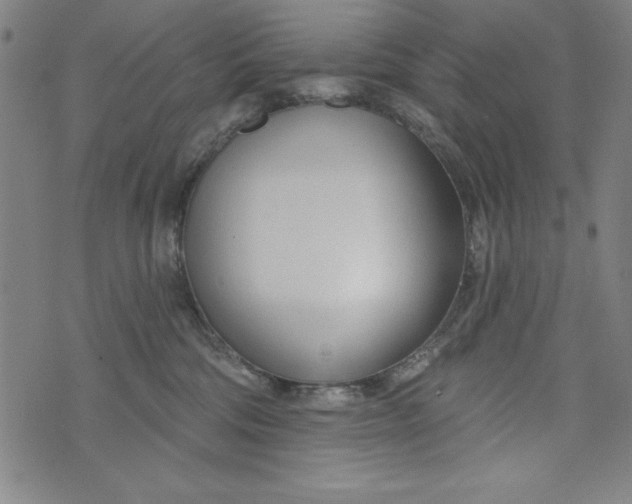 X0000073990330200609111539