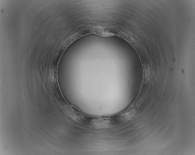 X0000073990331200609111539