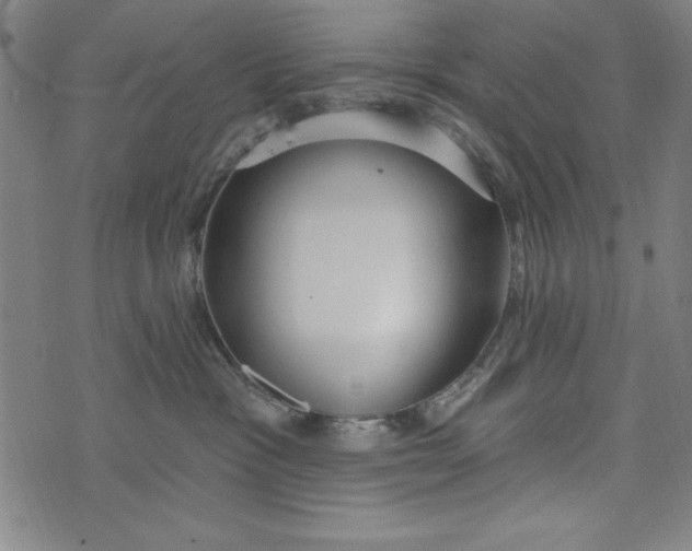 X0000073990333200609111539