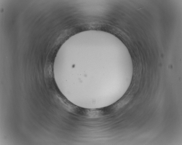 X0000073990336200609111539