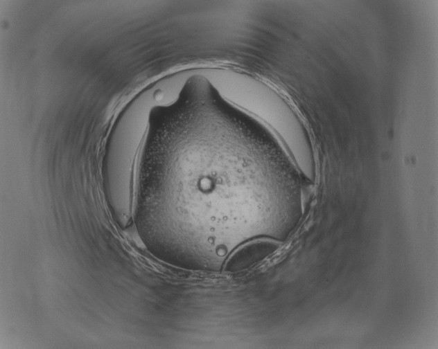 X0000073990337200609111539