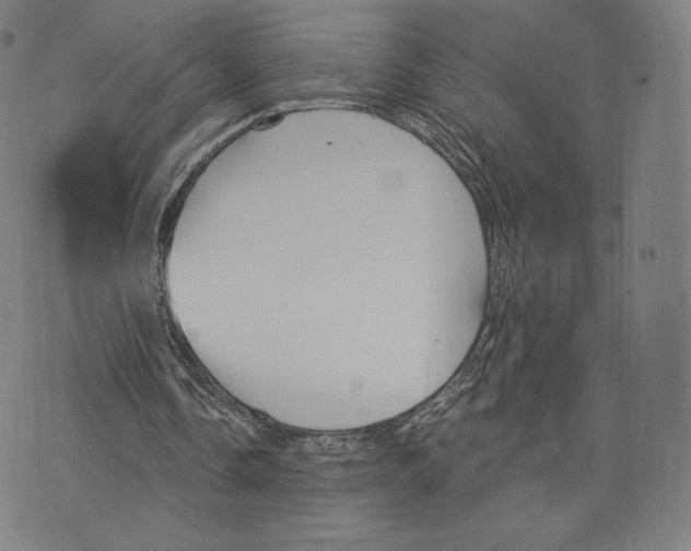 X0000073990338200609111539