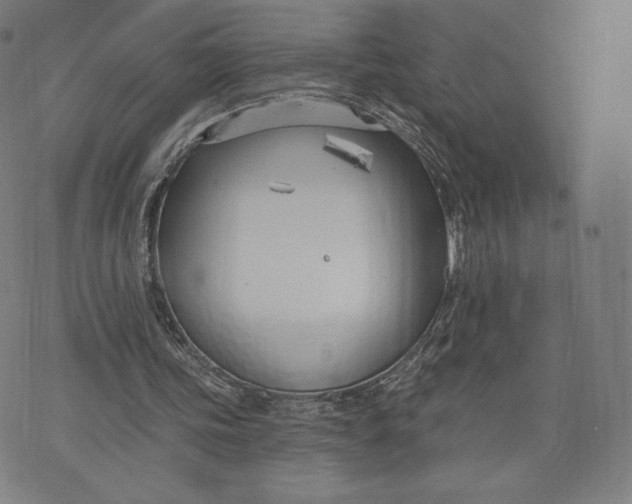 X0000073990339200609111539