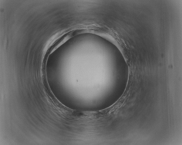 X0000073990340200609111539