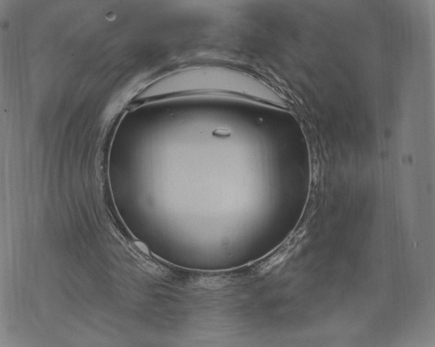 X0000073990341200609111539