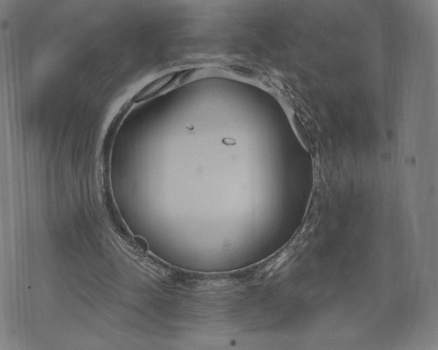 X0000073990342200609111539