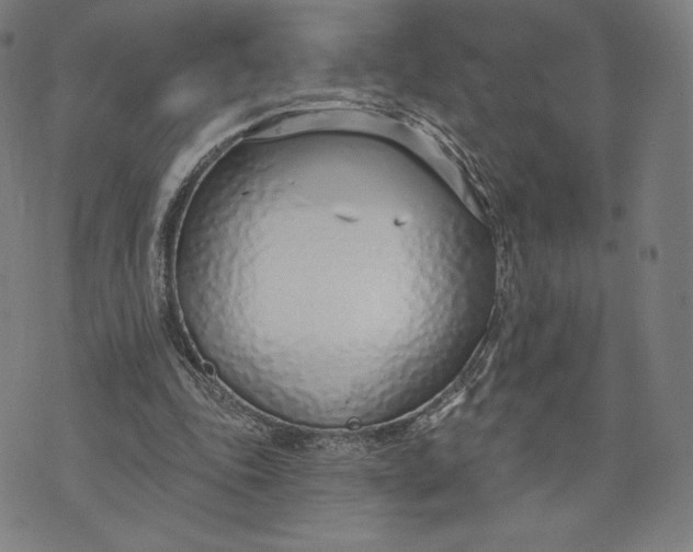 X0000073990343200609111539