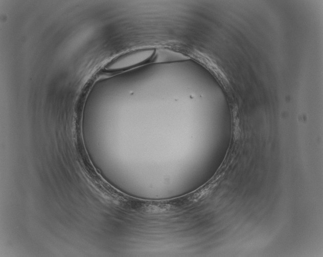 X0000073990346200609111539