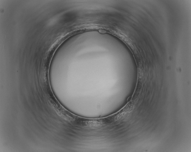 X0000073990347200609111539