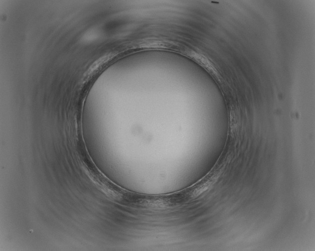 X0000073990349200609111539