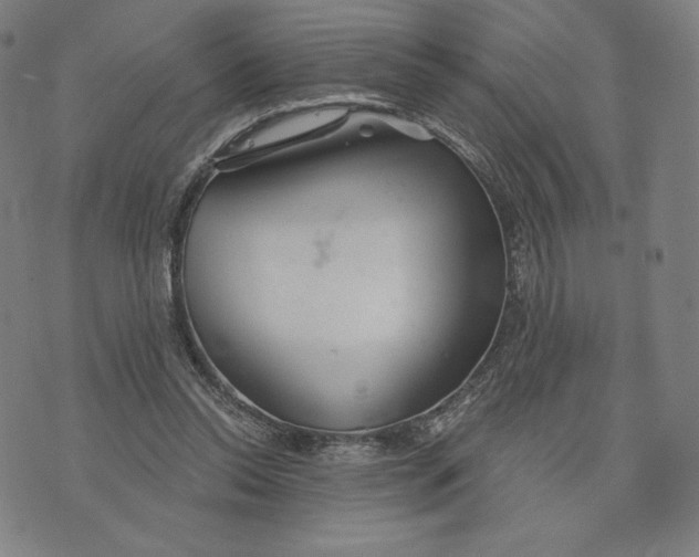 X0000073990350200609111539