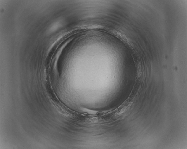 X0000073990351200609111539