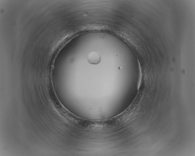 X0000073990352200609111539