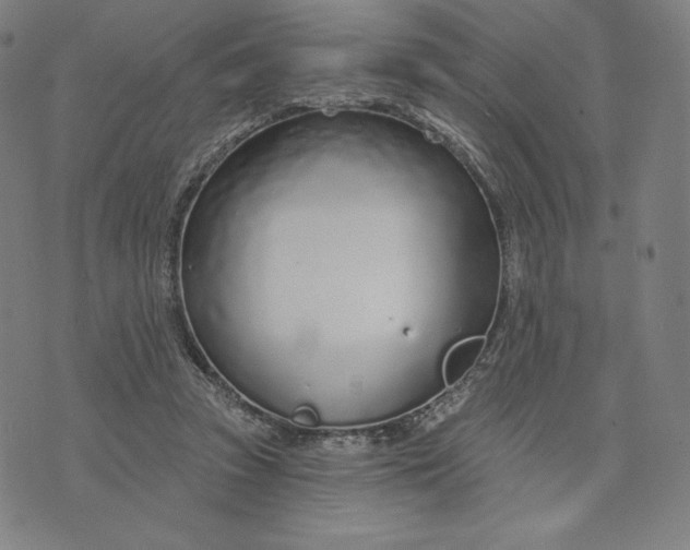 X0000073990353200609111539