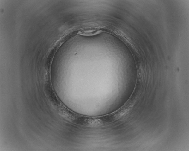 X0000073990355200609111539