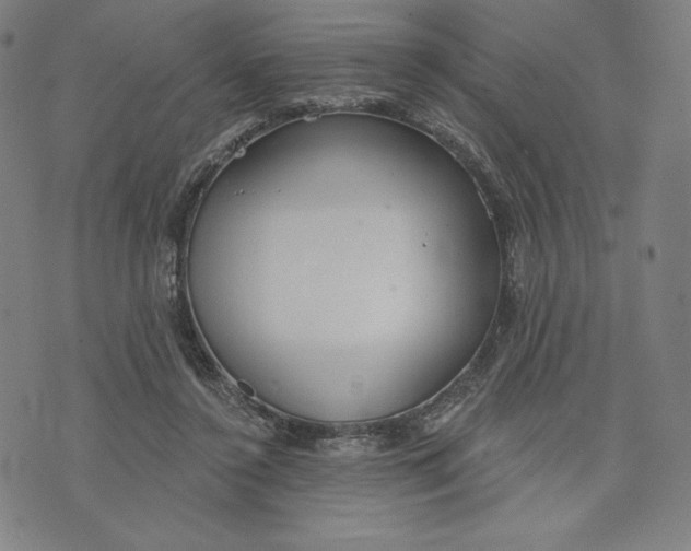 X0000073990356200609111539