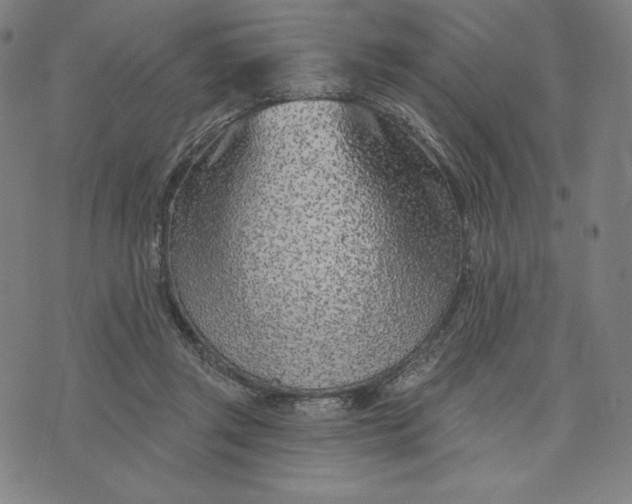 X0000073990357200609111539