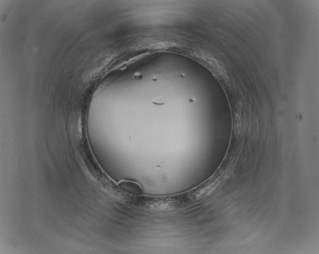 X0000073990358200609111539