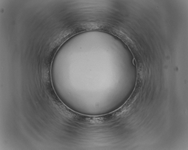 X0000073990359200609111539