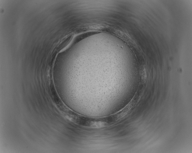 X0000073990360200609111539