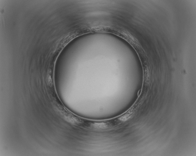 X0000073990361200609111539