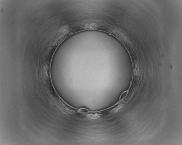 X0000073990363200609111539