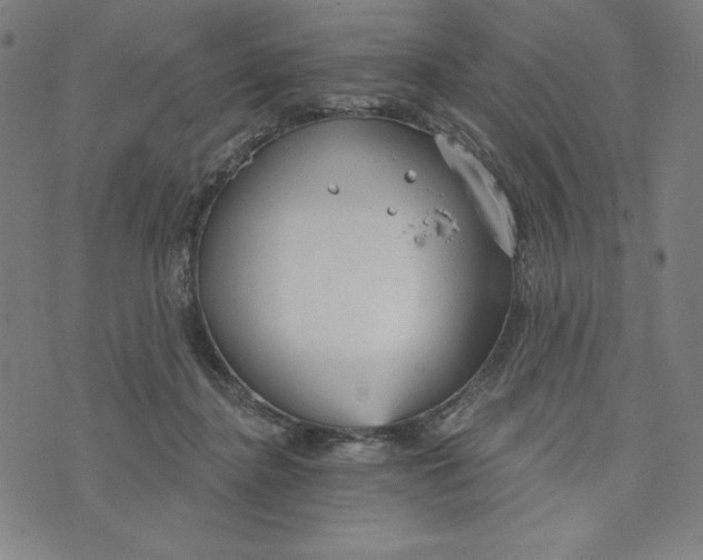 X0000073990364200609111539