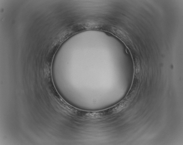 X0000073990367200609111539