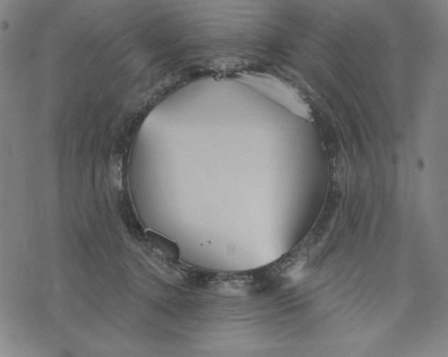 X0000073990368200609111539