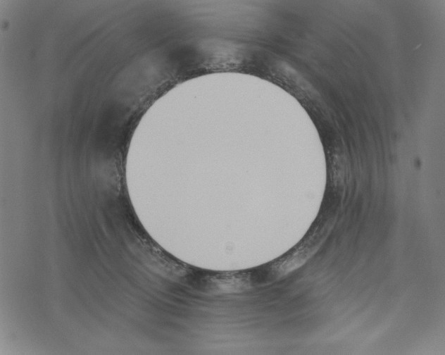 X0000073990370200609111539