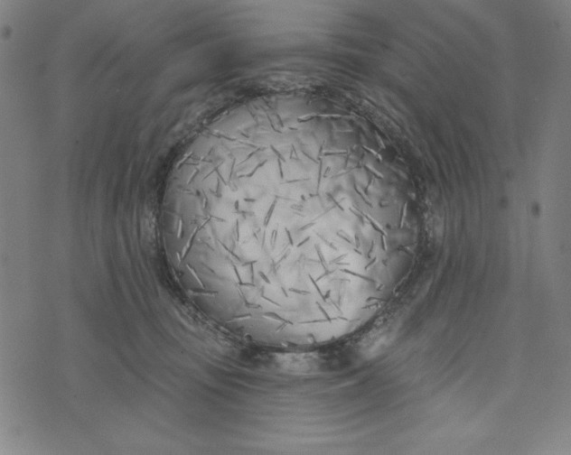 X0000073990371200609111539