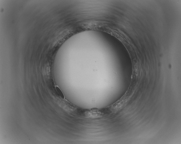 X0000073990372200609111539