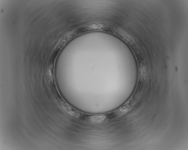 X0000073990373200609111539