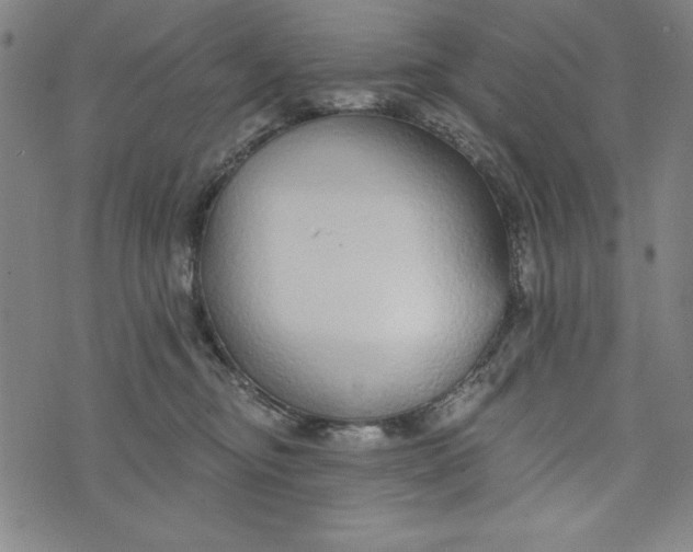 X0000073990374200609111539