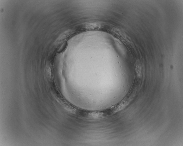 X0000073990375200609111539