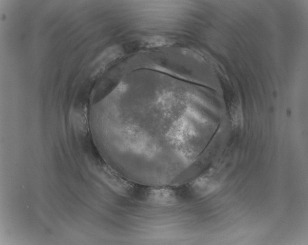 X0000073990376200609111539