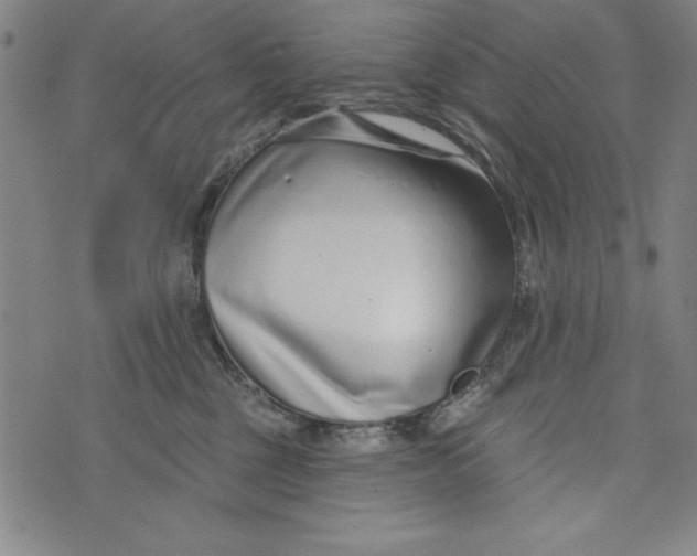 X0000073990377200609111539