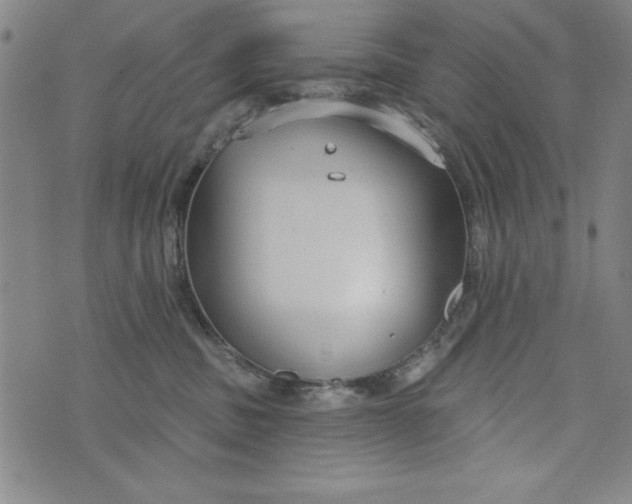 X0000073990379200609111539