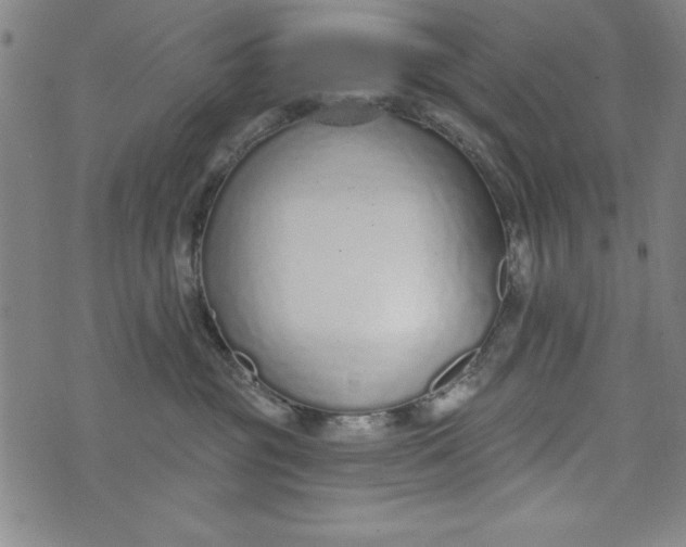 X0000073990381200609111539