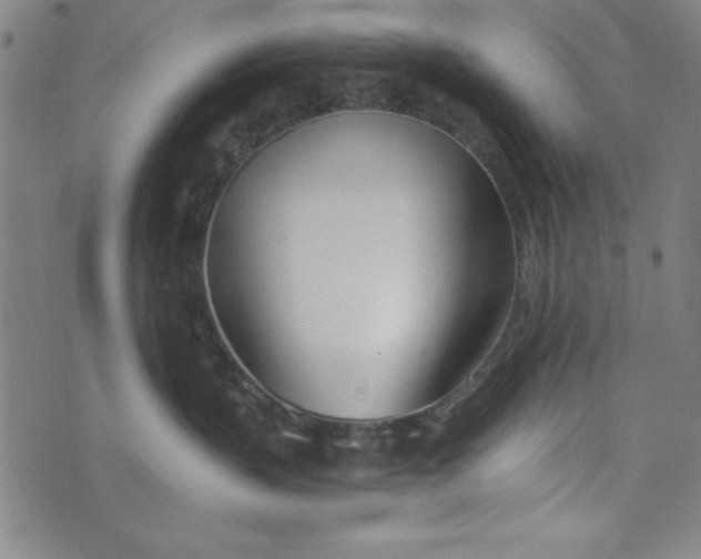 X0000073990383200609111539