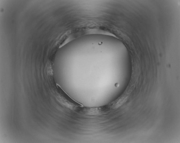 X0000073990384200609111539