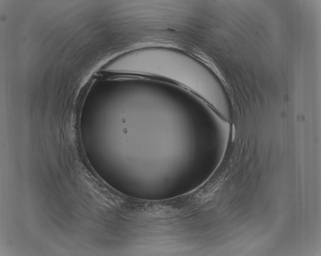 X0000073990387200609111538