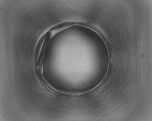 X0000073990388200609111538