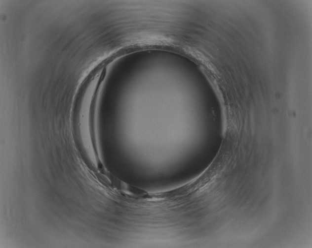 X0000073990391200609111538