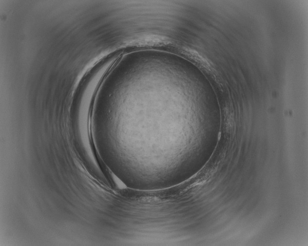 X0000073990392200609111538