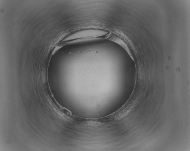 X0000073990393200609111538